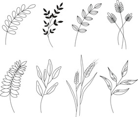 Set of different silhouettes of leaves. Vector branch.