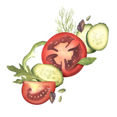 Cucumber, tomato, pepper slices with purple basil and dill leaves. Watercolor illustration. Fresh organic vegetables and aromatic herbs. Farm products for menu design, banner, shop, packaging, label