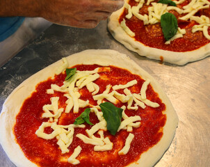 Uncooked pizza being prepared with tomato sauce buffalo mozzarella and green  basil with the hand of italian pizzaiolo shaping the dough