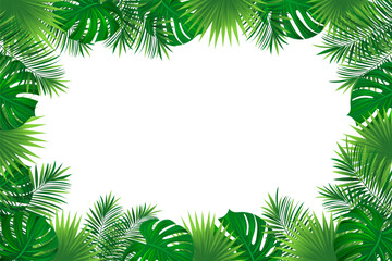 tropical rainforest border frame. Amazon foliage vector background with exotic tropic leaves, jungle plants and grass. Summer, travelling vacation card for textile print, invitation and promo designs.