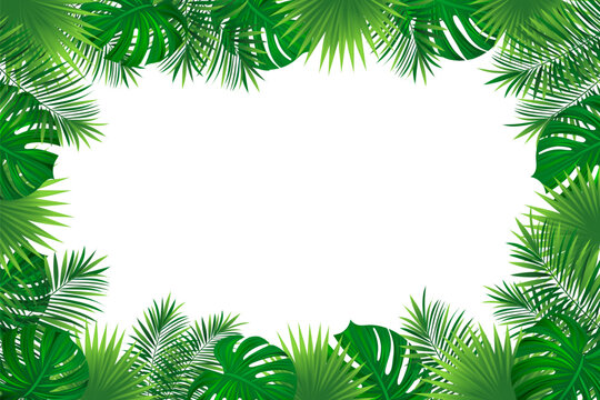 tropical rainforest border frame. Amazon foliage vector background with exotic tropic leaves, jungle plants and grass. Summer, travelling vacation card for textile print, invitation and promo designs.