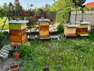 Colorful beehives in a garden with blooming flowers, highlighting the beekeeping environment and the natural habitat for bees.