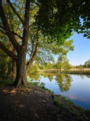 Obraz premium Rzeka Wadąg na Warmii