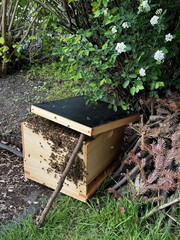 A swarm of bees covering a wooden beehive with a branch leaning against it, illuminated by sunlight in a garden setting.