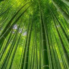 A lush bamboo forest, the tall, slender stalks creating a natural cathedral, their leaves...
