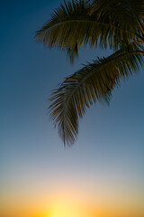 A tranquil view
