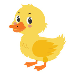 Cute funny duckling cartoon character vector illustration isolated on white background