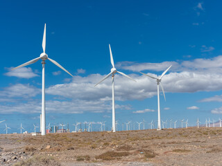 Wind farm with turbine fans as a renewable energy alternative
