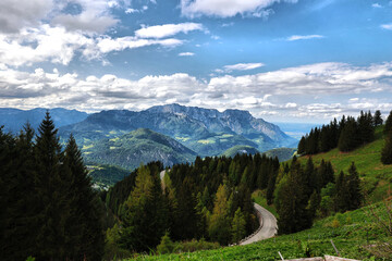watzmann, berchtesgaden, frühling, berge, alpen, löwenzahn, sommer, blühen, ramsau,...