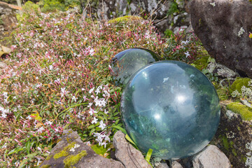 Glass fishing net floats in a garden on Flores Island. © Emily_M_Wilson