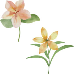 Vector Watercolor tropical pink and yellow flowers couple. Template, design elements for greeting cards, invitation, gender party, baby shower, birthday, event, holiday, wedding card, printable, EPS.