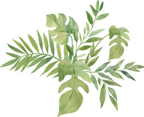 Vector Watercolor tropical branches, green leaves. Template, design elements for greeting cards, invitation, gender party, baby shower, birthday, event, holiday, wedding card, printable, EPS