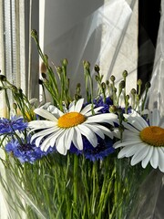 flowers in the garden