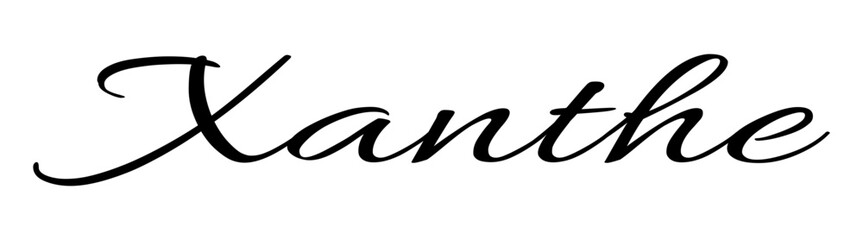 Xanthe - black color - name written - ideal for websites, presentations, greetings, banners, cards, t-shirt, sweatshirt, prints, cricut, silhouette, sublimation, tag