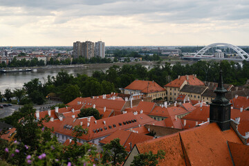 Obraz premium Beautiful panoramic view of the red tiled roofs of houses and church in Novi Sad, Serbia. A cozy European town in the Balkans. View from Petrovaradin fortress. Spring wildflowers in the foreground.