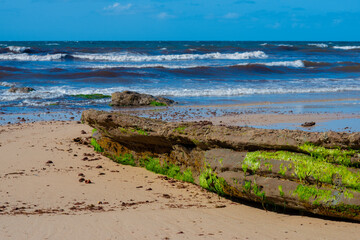 Beach and ocean