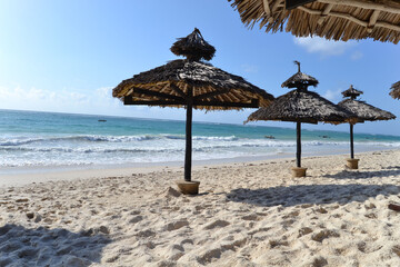 Paradise beach with white sand and palm trees in Kenya