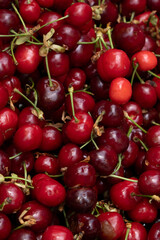fresh cherries sold in the market
