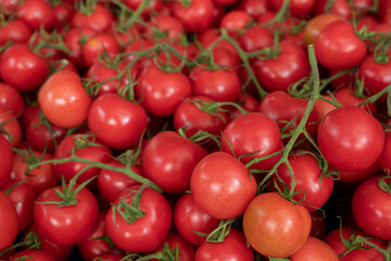 Tasty and fresh red tomatoes