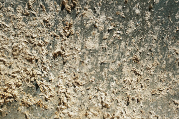 stone wall texture