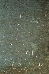 rain drops on the ground