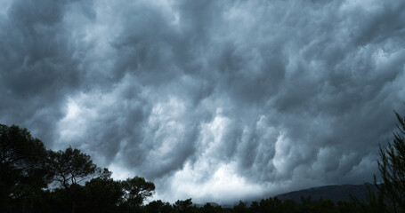 Dark storm clouds roll in the sky above treetops bending in the strong wind. Menacing rain clouds...