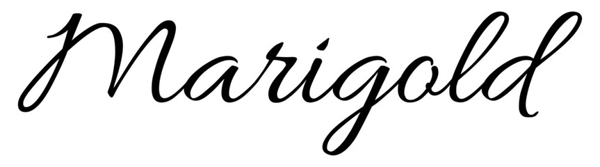 Marigold - black color - name written - ideal for websites, presentations, greetings, banners, cards, t-shirt, sweatshirt, prints, cricut, silhouette, sublimation, tag