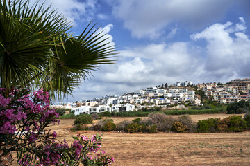 blooming oleander bush and houses on a hillside on the island of Cyprus - Powered by Adobe