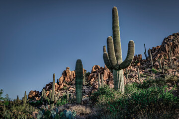 Arizona Desert Mountain Scenery