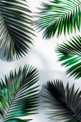 Lush green tropical palm leaves arranged on a white background, casting natural shadows. Ideal for nature, botanical, and tropical themes, creating a fresh and vibrant aesthetic