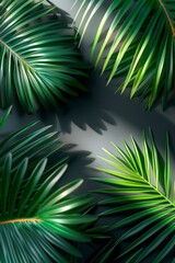 Green tropical palm leaves against a dark background, casting shadows and creating a vibrant, lush appearance. Poster and banner