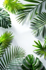 Lush green tropical palm leaves arranged on a white background, casting natural shadows. Ideal for nature, botanical, and tropical themes, creating a fresh and vibrant aesthetic