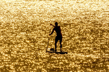 Sup surfer atardecer dorado