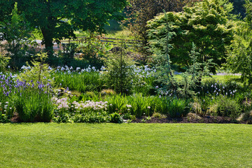 Lush garden with blooming flowers and green plants