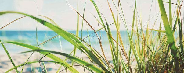 Naklejka premium Close-up of green grass blades with a beach and ocean background