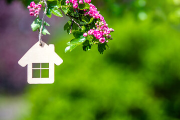 The symbol of the house among the blooming Crataegus Pauls Scarlet
