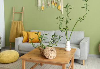 Interior of green living room with bamboo stems on coffee table and comfortable sofa
