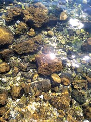Croatia, Dalmatia. Close-up view of the sea surface.