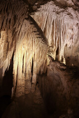 Rock formations in Carlsbad Caverns National Park, New Mexico