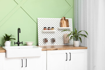 Pegboard, sink and houseplants near green wall in kitchen