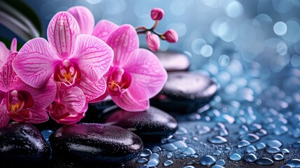 Spa treatment concept. Flowers of orchid and stones. Beautiful background with copy space.