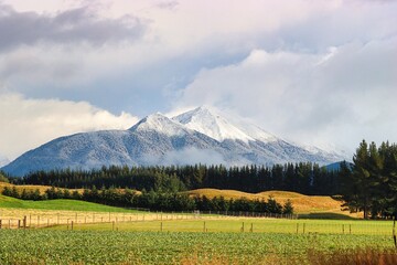 Fototapeta premium New Zealand