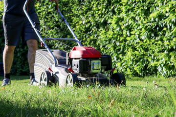 Close up of a man mowing green lawn in the garden at day light