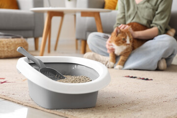 Litter box on carpet and woman with cat at home, closeup