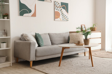 Modern interior of living room with grey sofa and houseplant on table