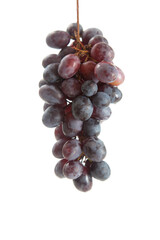 Bunch of organic black grapes isolated on white background.