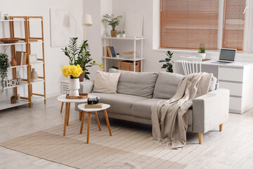 Interior of living room with grey sofa and yellow narcissus flowers on coffee table
