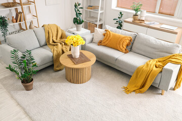 Interior of living room with grey sofas and yellow narcissus flowers on wooden coffee table