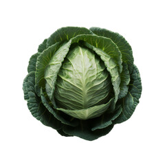 PNG of a organic fresh green healthy cabbage