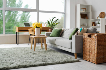 Interior of living room with grey sofa and yellow narcissus flowers on wooden coffee table